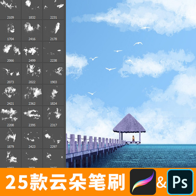 procreate笔刷ps笔刷云朵白云透明影楼后期效果云彩云烟云图案B70