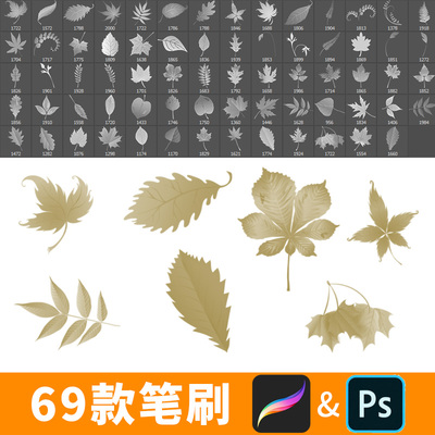 procreate笔刷ps笔刷落叶秋天动漫场景植物树叶飘落风景插画B453