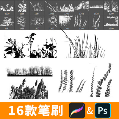 procreate笔刷写意中国古风枯树树枝PS笔刷ipad绘画素材枯枝B450