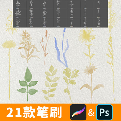 procreate笔刷小清新淡雅水彩平图植物组团彩平植物PS笔刷B462