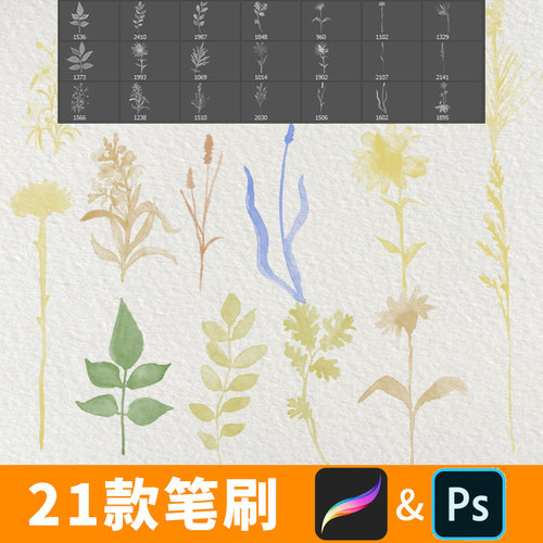 procreate笔刷小清新淡雅水彩平图植物组团彩平植物PS笔刷B462