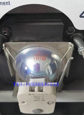 ITL灯泡 L6420-F 12V 75W PCR检测ABI 7500/7300 荧光定量仪杯泡