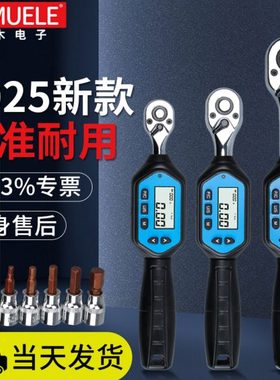 禾木迷你电子数显扭力扳手高精度力矩可调式公斤预置维修旋具压批