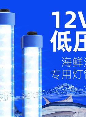 12v海鲜池LED灯菜市场水产专用照明36伏鱼缸蓝白光低压24v防水管