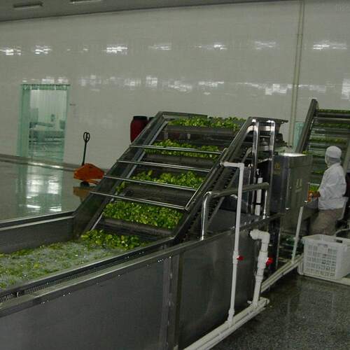 保鲜花椒加工流水线设备 气泡清洗机 蒸汽杀青机 沥水吹干机