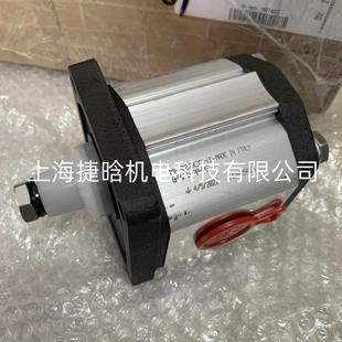 意大利MARZOCCHI 高压齿轮泵 GHP2 马祖奇 D22FG