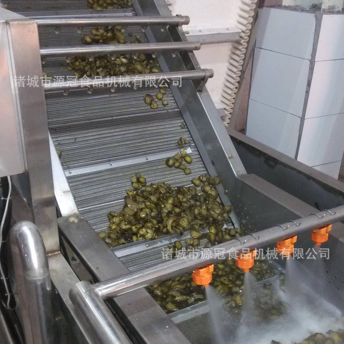 商用臭氧洗菜机 连续式水果蔬菜清洗机 小龙虾涡流气泡清洗设备