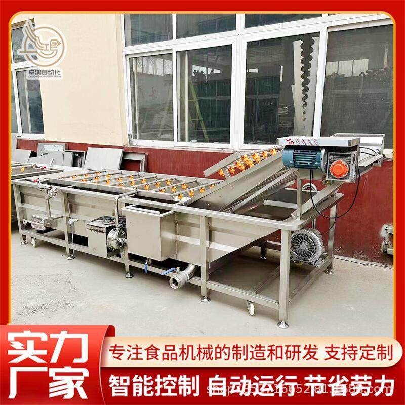 厂家直销中药材清洗加工设备连续式海参加工设备商用鲍鱼清洗机,清洗/食品/商业设备,其他食品加工设备,淘宝优惠券,粉丝福利购,淘宝优惠卷