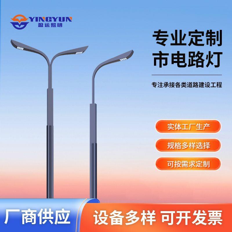 市政工程LED路灯220V6米8米0米户外防水新农村高杆市电路灯