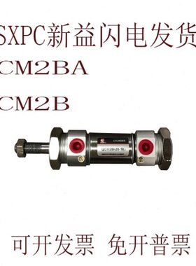 5195X气缸Q 70益M20CD2520-B-Q-181190-SCM18上海新220--/PC5B