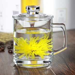带把加厚玻璃杯办公耐热带盖创意家用高温泡茶杯子简约透明喝水杯