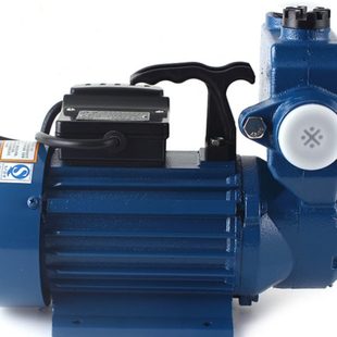 WZB自吸泵家用管道自来水增压泵冷热水小型抽水泵220v抽水机 大元