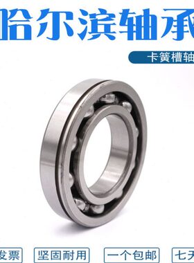哈尔滨轴承带卡簧槽 6334N  6340N 6344N 6348N 60/22N