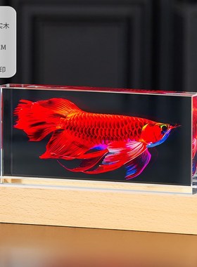 水晶内雕锦d鲤摆件公司创意电视酒柜桌面装饰品招财艺术发光轻奢