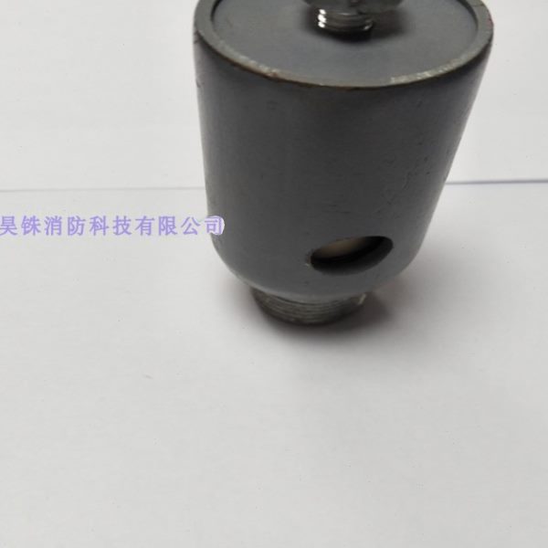SQD100/150多功能水泵接合器安全阀 微泵弹簧式安全阀 安全阀