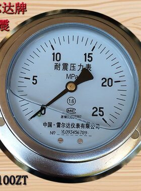 雷尔达压力表YN-100ZT 10MPA