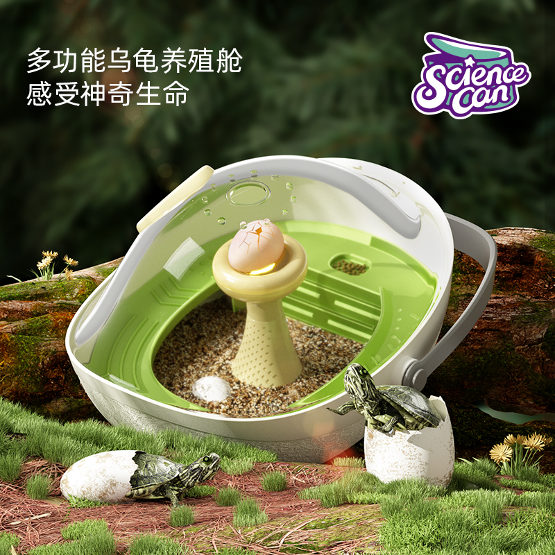 乌龟蛋可孵化成长仓活物爬台晒台专用乌龟L缸宠物饲养箱小龟别墅
