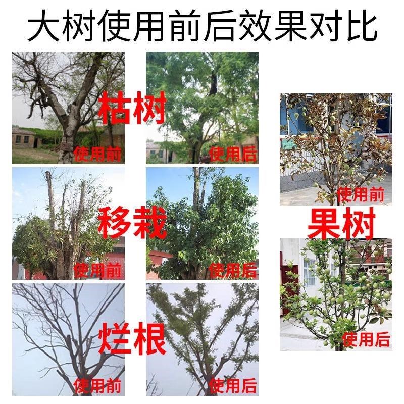 死树复活液大树生根药水再生激活营养液树木死苗烂根剂枯树复活灵