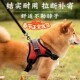 狗狗牵引绳背心式 胸抱婴袋小型中型大型犬遛狗金毛拉布拉多狗炼