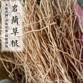 岩兰草干根种植20g天然香料2年粗根大出油率高精油纯露岩兰草根