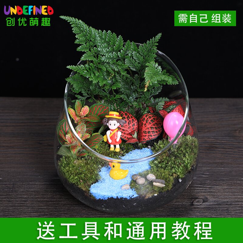 宽口切口瓶苔藓微景观生态瓶diy材料包创意玻璃植物盆栽摆件套装