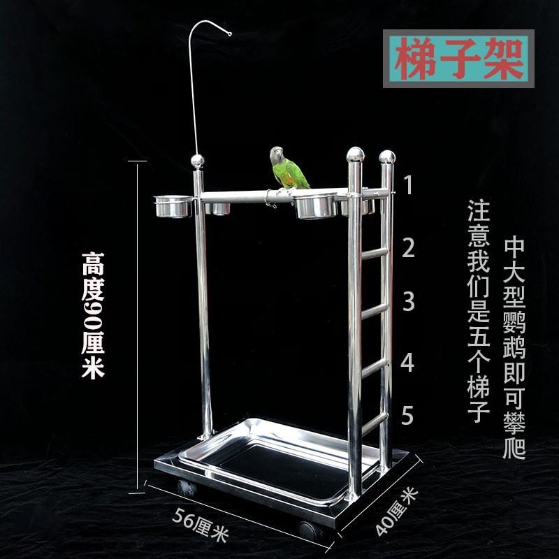 鹦鹉鸟类宠物鸟站架不锈钢不锈钢梯子架大型鸟站架繁殖户饲养架子