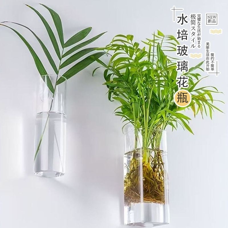壁挂花瓶】玻璃创意客厅墙壁装饰透明简约水培插花墙上绿萝植物
