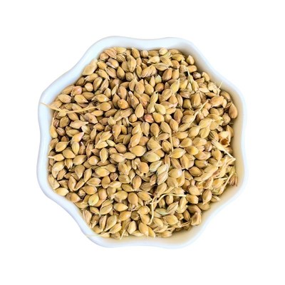 澳大利亚草籽鹦鹉零食带壳谷子鸟粮虎皮牡丹玄凤鹦鹉粮