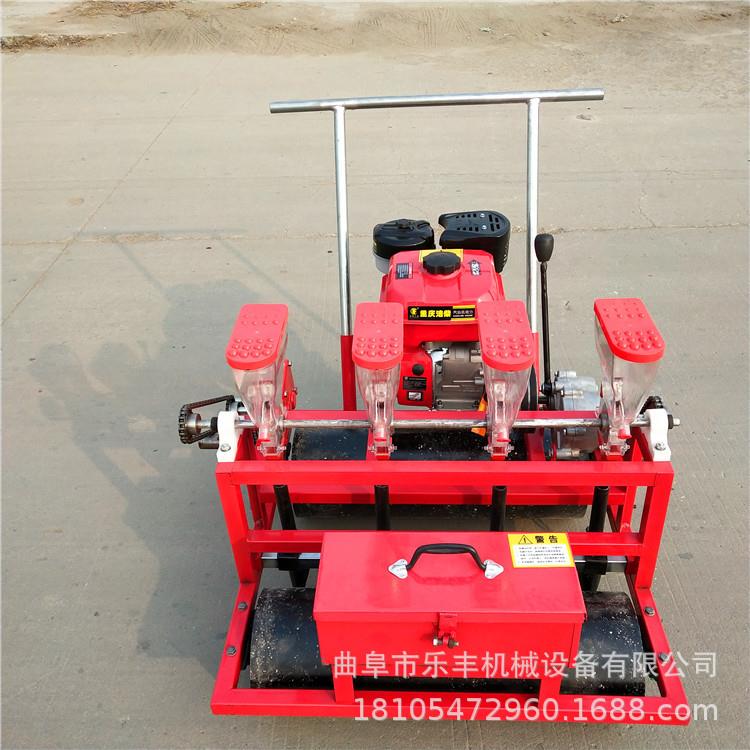小型蔬菜播种机新款玉米播种机花生大黄豆角播种机视频