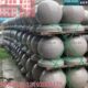 石球路障挡车石球大理石广场石墩子花岗岩石头球 阻车石隔离石