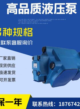 威格士叶片泵芯4525V42A 17 1C22R船舶专用油泵4525V45A 17 1C22R