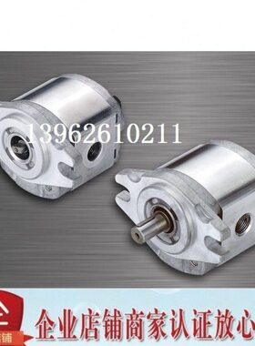 07钰盟RM6/ 1PP1P0/9M6LHONOR齿轮泵RPL