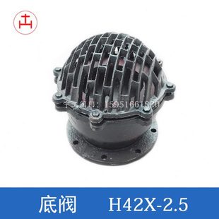 DN100 法兰底阀H42X 2.5 铸铁水泵进水口单向阀 蓬笼头龙头止水阀
