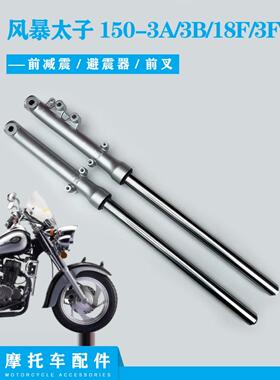 适用钱江摩托车配件 风暴太子150-3A/3B/18F-3F前减震器避震 前叉