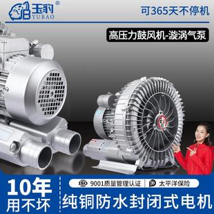 强力罗茨吸增氧工业220v大功率鼓风机涡轮 高压漩涡风机气泵旋涡式