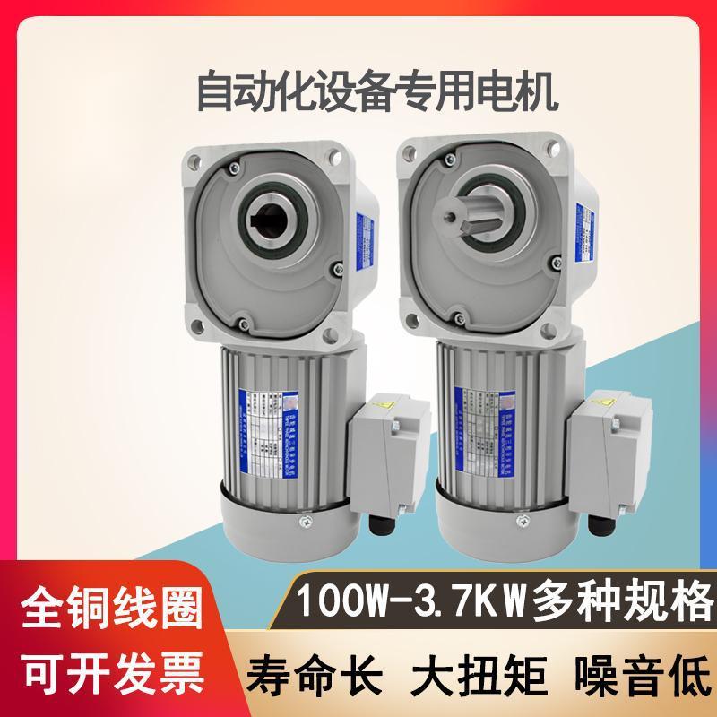 卧式减速电机斜齿轮立式交流带齿轮减速马达三相异步电动机