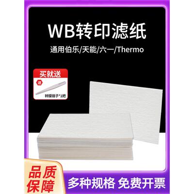 wb滤纸转印转膜湿转Western blot适用伯乐/天能/六一超厚转印滤纸