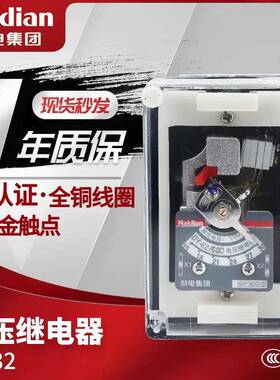 Naidian耐电集团 DY-32 34/60C 31 33 35 36 37 38电压继电器