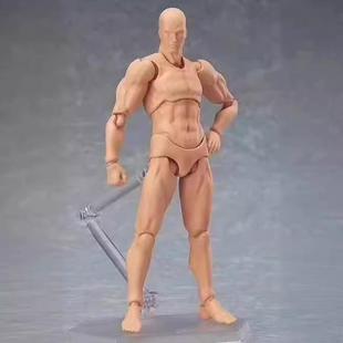 figma 2.0 素体 15周年青年版 男女素体 肤色 灰色 女橙 可动手办