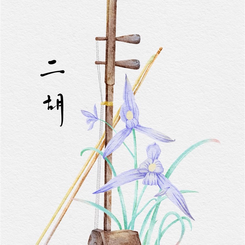 二胡陪练课一对一