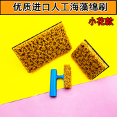 进口仿天然海藻刷小花款 印花拍点三色珠光艺术涂刷幻彩漆涂料工具