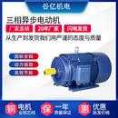 3W三相异步电动机水泵清洗机风机配套三相电机 YE3 100L2