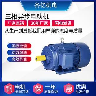 3W三相异步电动机水泵清洗机风机配套三相电机 YE3 100L2