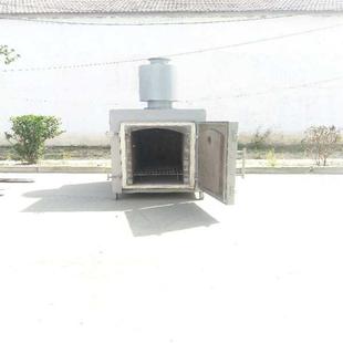 宠物尸体焚烧火化炉 狗猫火化无烟设备 实验小白鼠焚烧炉