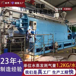 常州氧化铝圆盘桨叶干燥机烘干设备皂素药渣干燥设备工厂