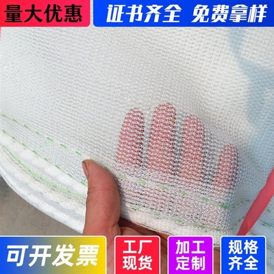 白色安密目网建筑工程工地防护网阻燃国标送检测网尼龙网白网