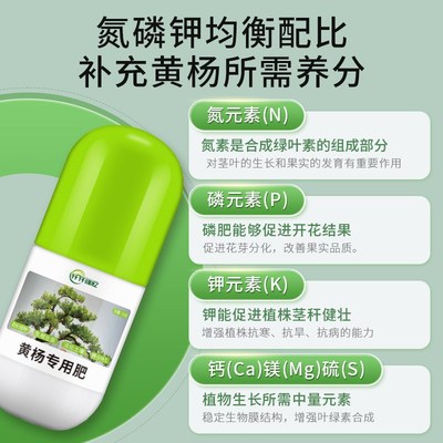 黄杨专用肥盆景肥料有机颗粒缓释盆栽营养液树苗复合雀舌绿植植物
