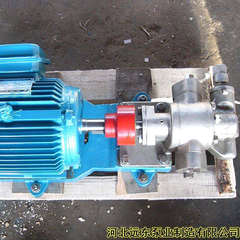 KCB-18.3不锈钢泵做甘油循环泵采用轴采用2Cr13齿轮304-远东泵业