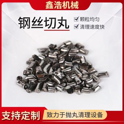 厂家供应清砂抛丸机钢丝切丸1.2mm不锈钢切丸除锈喷丸喷砂机