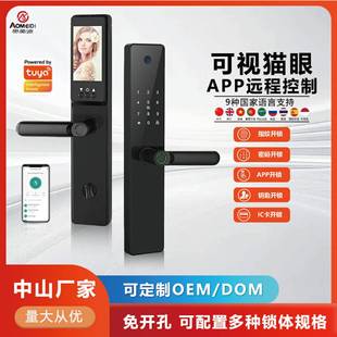 可视猫眼涂鸦智能锁木门防盗门一握开锁全自动指纹密码锁